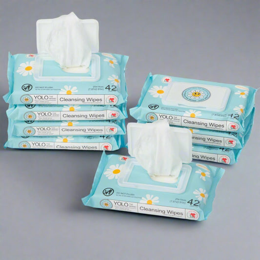 Cleansing Wipes - YOLO THE BRAND